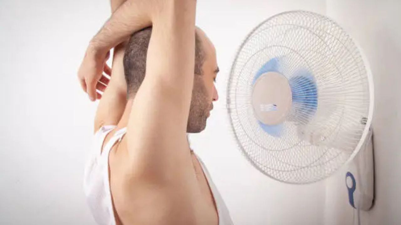 Myoervyfanily A Deep, Honest Look at What It Really Offers