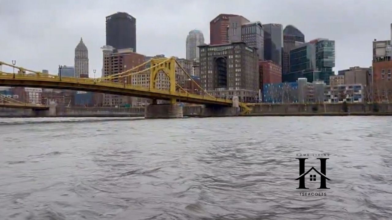 JunoEmailOnTheWeb Everything You Need to Know Before Using It