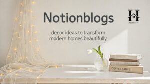 Notionblogs décor ideas to transform modern homes beautifully